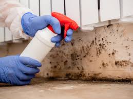 Best Mold Removal for HVAC Installations  in Westminster, CO